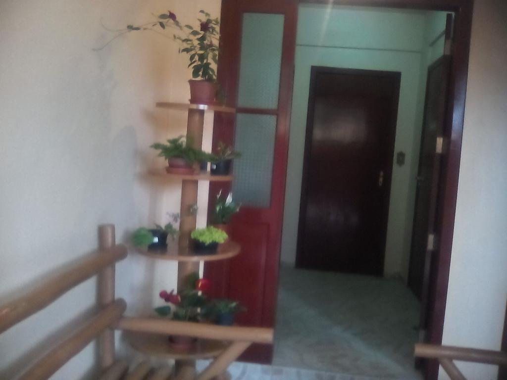 Residencial Dona Vilma Florianopolis Exterior foto